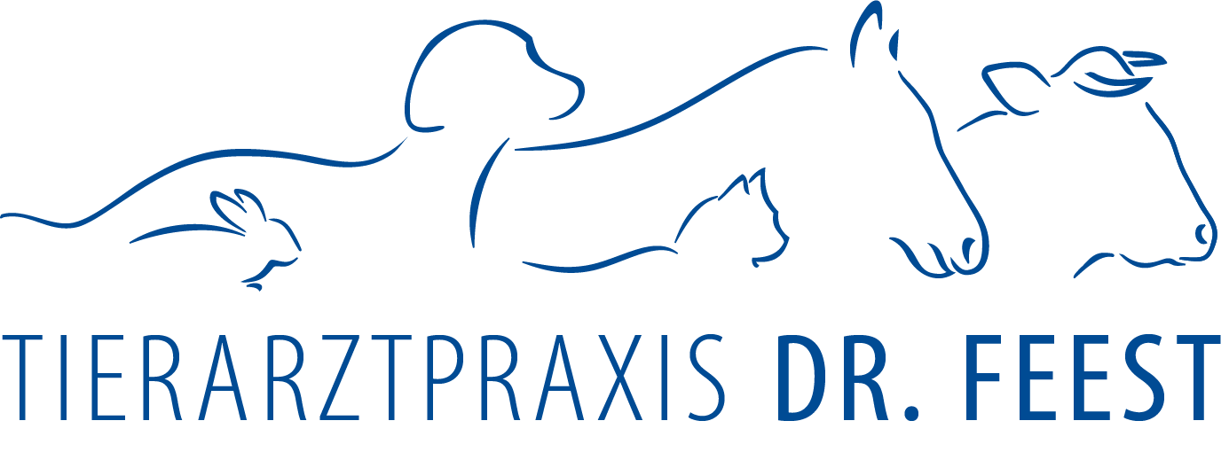 Logo der Tierarztpraxis Dr. Feest